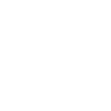 avielle